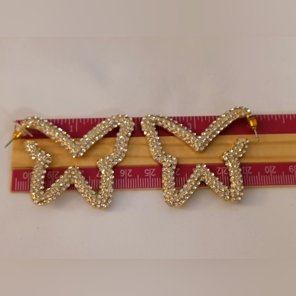 𝘽𝙀𝘽𝙀 𝘽𝙪𝙩𝙩𝙚𝙧𝙛𝙡𝙮 𝙍𝙝𝙞𝙣𝙚𝙨𝙩𝙤𝙣𝙚 𝙀𝙖𝙧𝙧𝙞𝙣𝙜𝙨 & 𝘾𝙖𝙨𝙚 - Picture 4 of 13